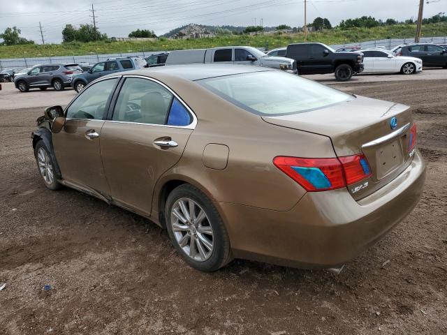 Photo 2 from auction – 2007 LEXUS ES 350 with VIN JTHBJ46G572010702