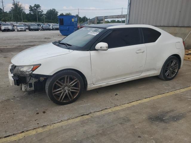 TOYOTA SCION TC 2013 with VIN JTKJF5C73D3054219 - Photo from auction
