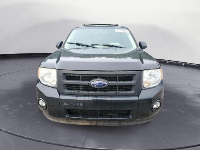 Photo 5 from auction – 2011 FORD ESCAPE XLT with VIN 1FMCU0DG9BKB43833