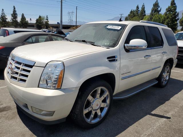 CADILLAC ESCALADE L 2010 with VIN 1GYUKBEF7AR200949 - Photo from auction