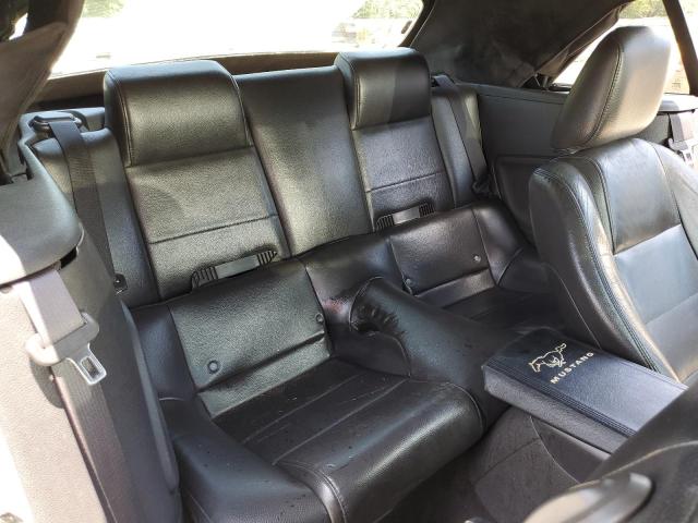 Photo 10 from auction – 2005 FORD MUSTANG with VIN 1ZVFT84N855249255