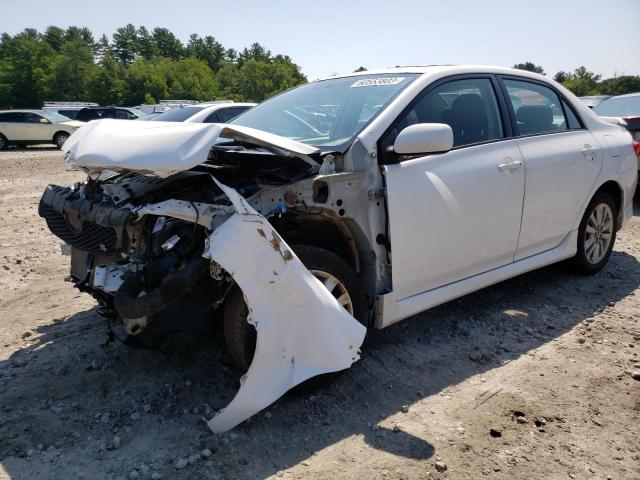 TOYOTA COROLLA BA 2010 with VIN 2T1BU4EE4AC459418 - Photo from auction