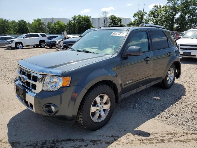 FORD ESCAPE HYB 2009 with VIN 1FMCU49389KA56206 - Photo from auction