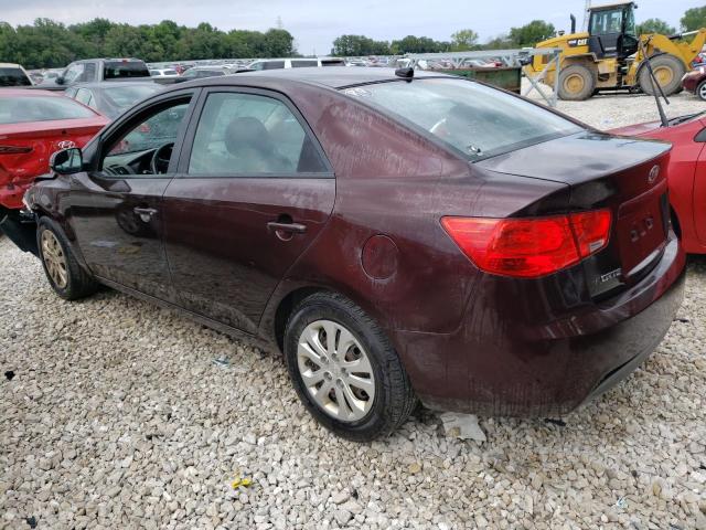 Photo 2 from auction – 2011 KIA FORTE EX with VIN KNAFU4A27B5455050