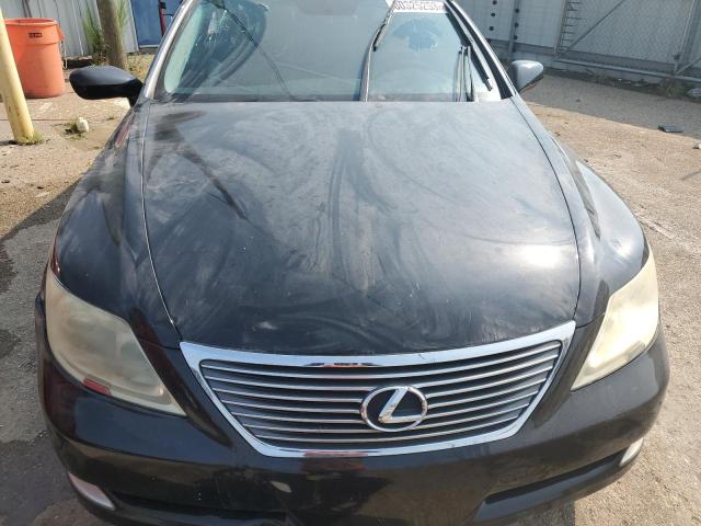 Photo 11 from auction – 2009 LEXUS LS 460 with VIN JTHBL46F495088150