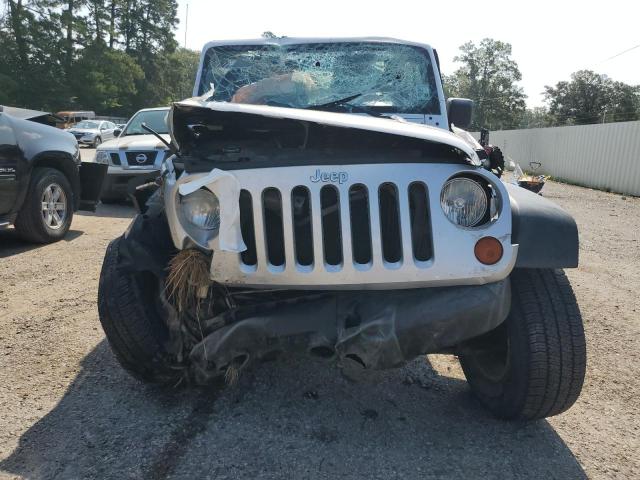 Photo 5 from auction – 2009 JEEP WRANGLER X with VIN 1J4FA24169L772241