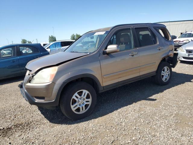 HONDA CR-V EX 2004 with VIN JHLRD78934C811662 - Photo from auction