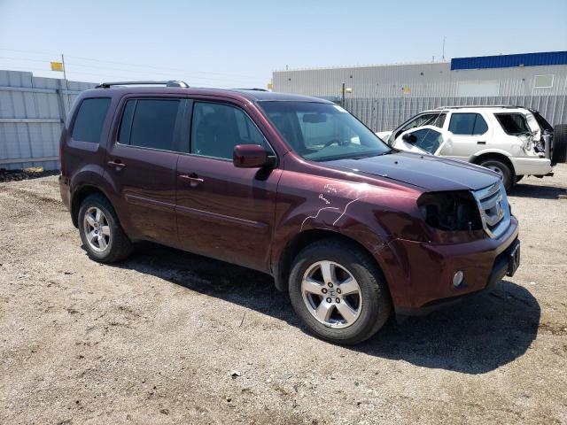 Photo 4 from auction – 2009 HONDA PILOT EXL with VIN 5FNYF48559B041361