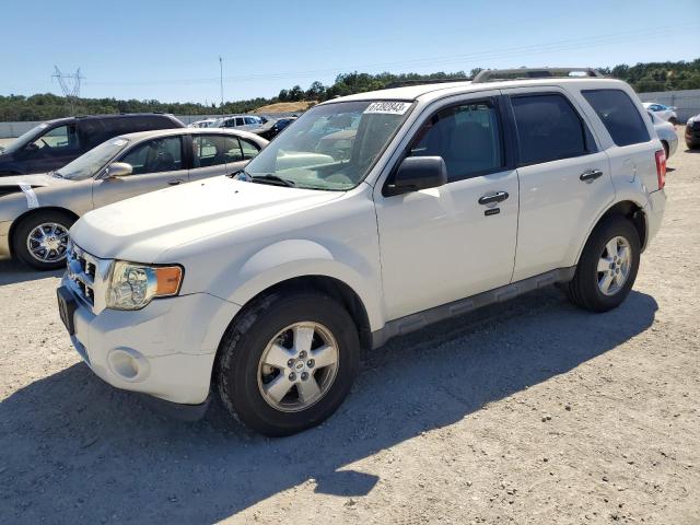FORD ESCAPE XLT 2011 with VIN 1FMCU0D78BKA33601 - Photo from auction