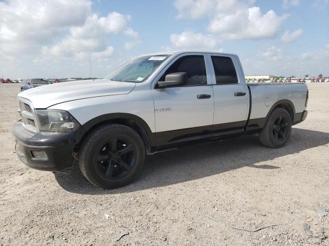 DODGE RAM 1500 2010 with VIN 1D7RB1GK9AS206119 - Photo from auction