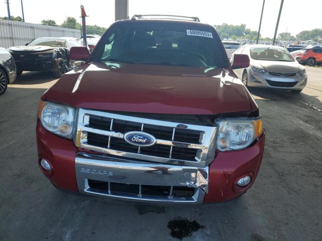 Photo 5 from auction – 2010 FORD ESCAPE LIM with VIN 1FMCU0EG3AKA70701