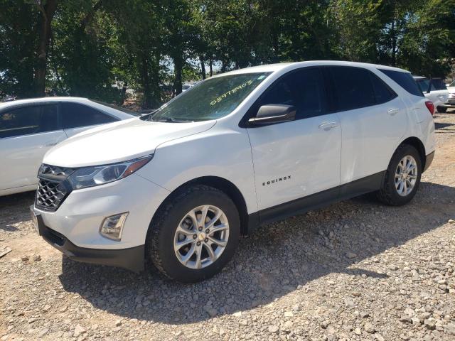 CHEVROLET EQUINOX LS 2019 with VIN 2GNAXSEV5K6190928 - Photo from auction