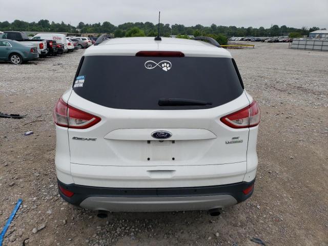 Photo 6 from auction – 2014 FORD ESCAPE SE with VIN 1FMCU0GXXEUB98182