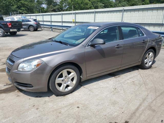 CHEVROLET MALIBU LS 2010 with VIN 1G1ZB5EB5AF316347 - Photo from auction