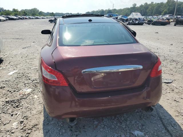 Photo 6 from auction – 2009 NISSAN MAXIMA S with VIN 1N4AA51E59C839586