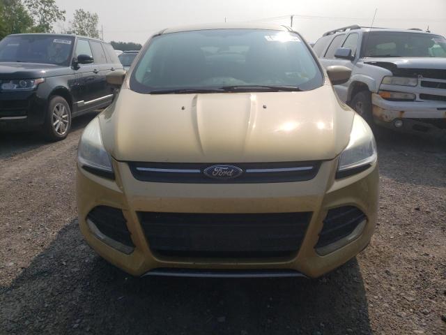 Photo 5 from auction – 2014 FORD ESCAPE SE with VIN 1FMCU9GX4EUC34078