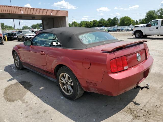 Photo 2 from auction – 2005 FORD MUSTANG with VIN 1ZVFT84N355248966