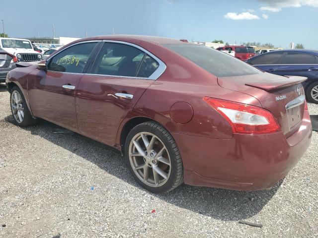 Photo 2 from auction – 2010 NISSAN MAXIMA S with VIN 1N4AA5AP7AC847520