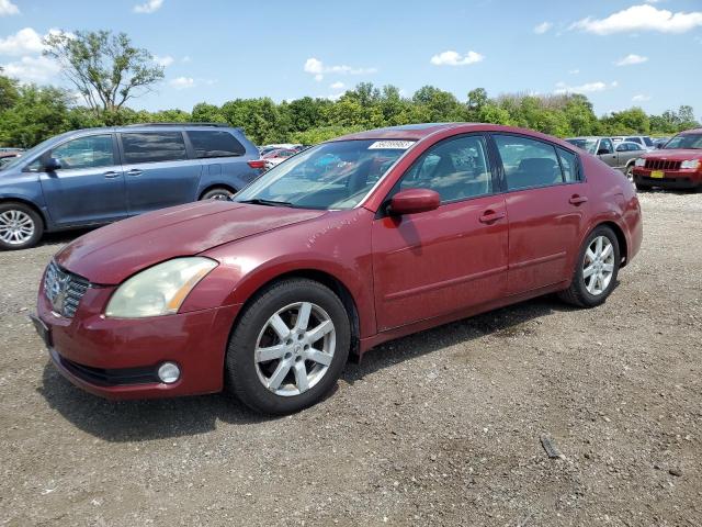 NISSAN MAXIMA 2004 with VIN 1N4BA41E94C920260 - Photo from auction