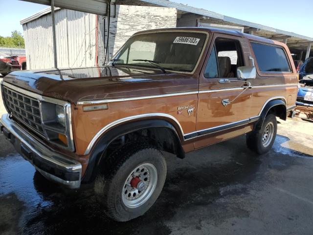 Zdjęcie 1 z aukcji – 1981 FORD BRONCO U10 z VIN 1FMEU15G5BLA49472