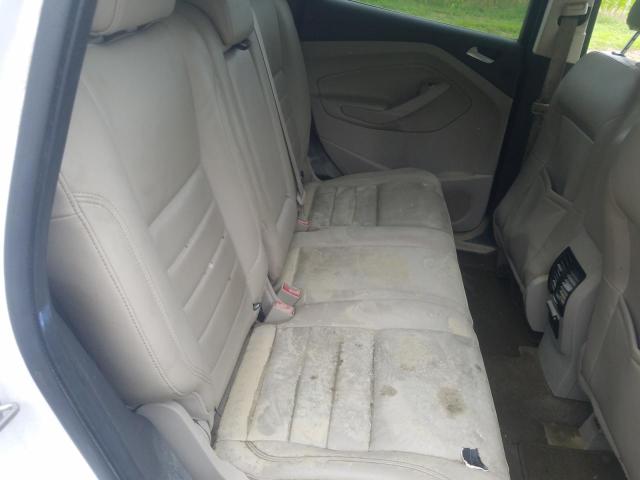 Photo 10 from auction – 2014 FORD ESCAPE TIT with VIN 1FMCU9JX6EUB74913