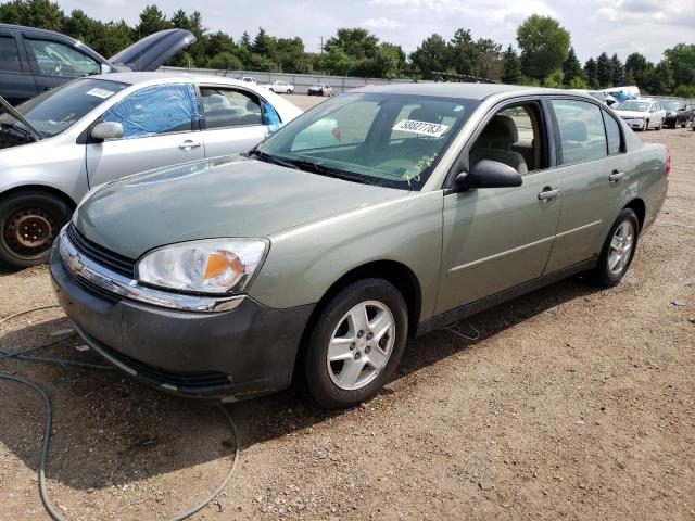 CHEVROLET MALIBU LS 2005 with VIN 1G1ZT54865F323977 - Photo from auction
