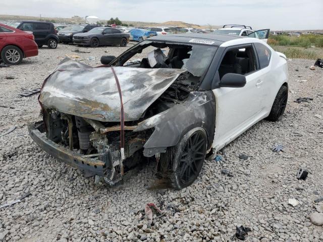 TOYOTA SCION TC 2011 with VIN JTKJF5C79B3003935 - Photo from auction