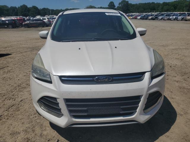 Photo 5 from auction – 2013 FORD ESCAPE SE with VIN 1FMCU0GX7DUC41780