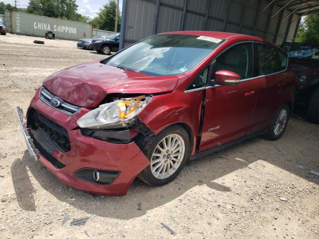 FORD C-MAX SEL 2013 with VIN 1FADP5BU5DL555546 - Photo from auction