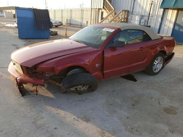 FORD MUSTANG 2009 with VIN 1ZVHT84N595101465 - Photo from auction
