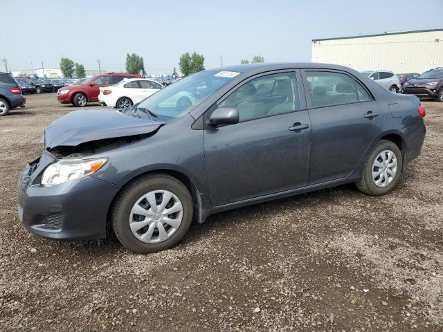 TOYOTA COROLLA BA 2010 with VIN 2T1BU4EEXAC346217 - Photo from auction