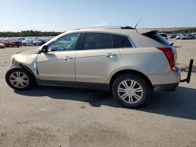 Photo 2 from auction – 2011 CADILLAC SRX LUXURY with VIN 3GYFNDEY6BS672877