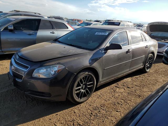 CHEVROLET MALIBU LS 2012 with VIN 1G1ZB5E03CF313688 - Photo from auction