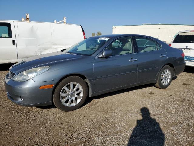 LEXUS ES 330 2005 with VIN JTHBA30G055092675 - Photo from auction