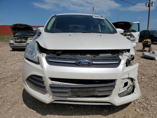 Photo 5 from auction – 2014 FORD ESCAPE SE with VIN 1FMCU9G94EUA46789