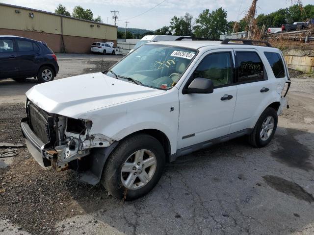 FORD ESCAPE HYB 2008 with VIN 1FMCU59H08KA12507 - Photo from auction