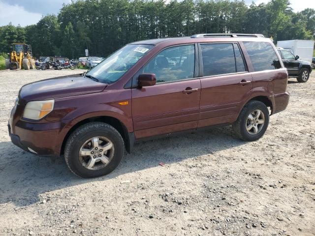 HONDA PILOT EX 2007 with VIN 5FNYF18437B024061 - Photo from auction