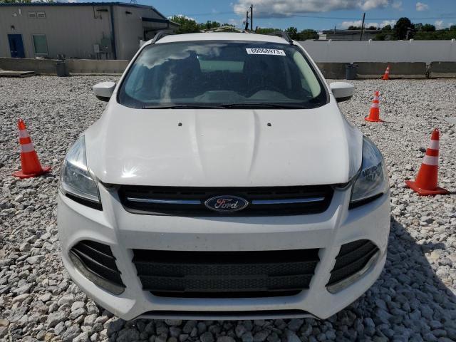 Photo 5 from auction – 2014 FORD ESCAPE SE with VIN 1FMCU9GX1EUD42500