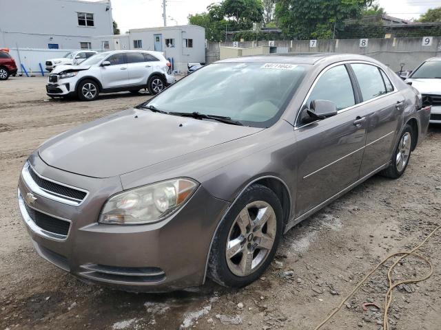 CHEVROLET MALIBU 1LT 2010 with VIN 1G1ZC5EB8AF229961 - Photo from auction
