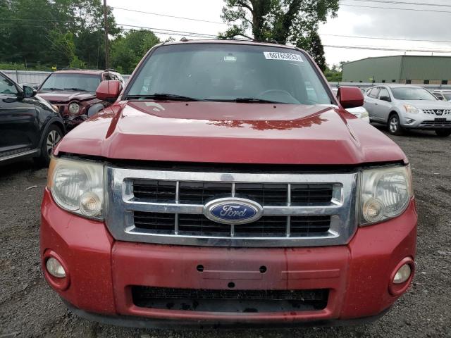 Photo 5 from auction – 2010 FORD ESCAPE with VIN 1FMCU9EG2AKC72921