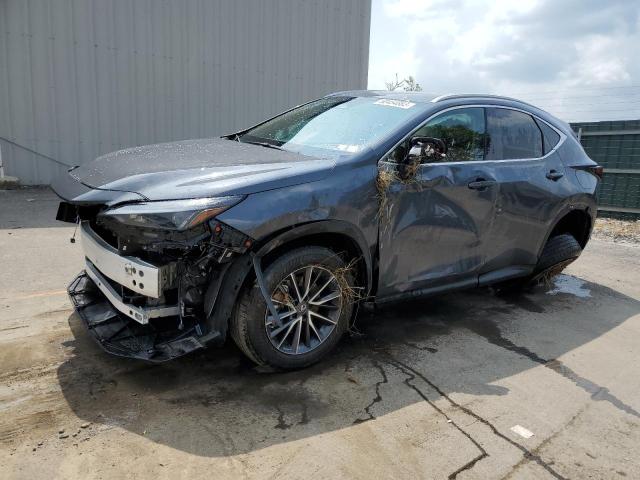 LEXUS NX 250 2023 with VIN 2T2ADCEZ5PC003991 - Photo from auction