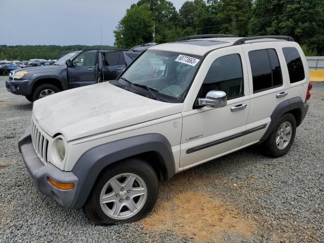JEEP LIBERTY SP 2004 with VIN 1J4GL48K44W327484 - Photo from auction