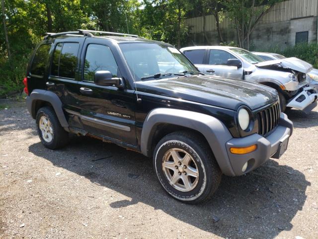 Photo 4 from auction – 2002 JEEP LIBERTY SP with VIN 1J4GL48K52W146861