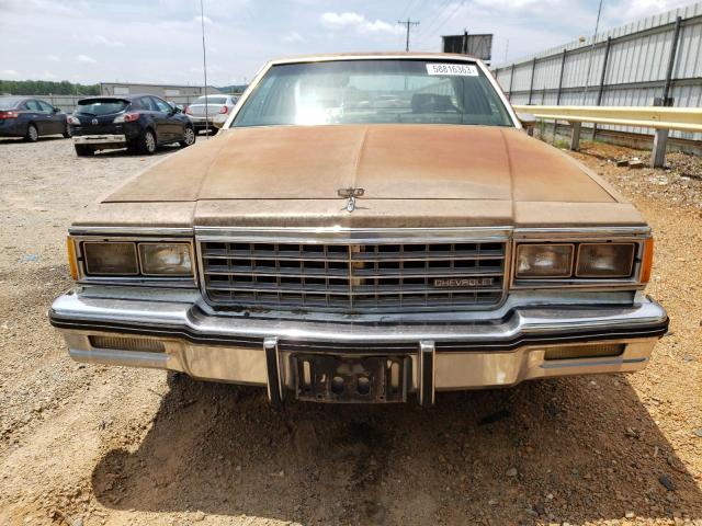 Photo 5 from auction – 1981 CHEVROLET CAPRICE CL with VIN 1G1AN69H2BJ140302