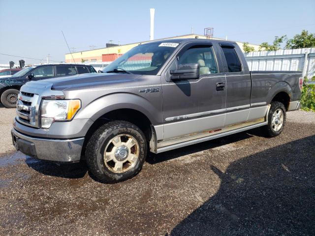 FORD F150 SUPER 2010 with VIN 1FTEX1C80AFA99541 - Photo from auction