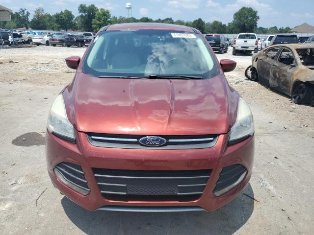 Photo 5 from auction – 2014 FORD ESCAPE SE with VIN 1FMCU0G92EUA58192