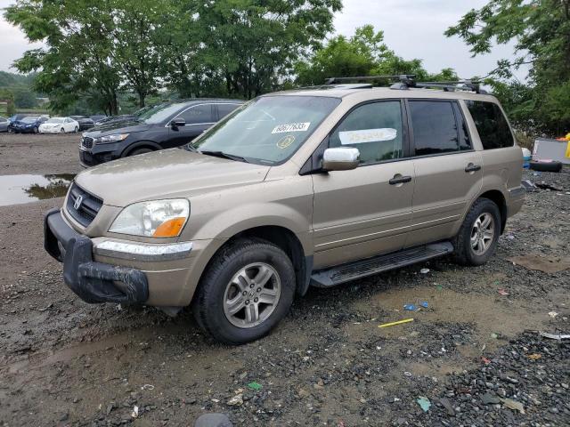HONDA PILOT EXL 2005 with VIN 5FNYF18635B021708 - Photo from auction