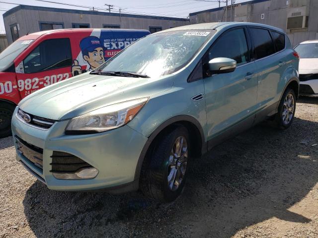 FORD ESCAPE SEL 2013 with VIN 1FMCU0HX4DUB66244 - Photo from auction