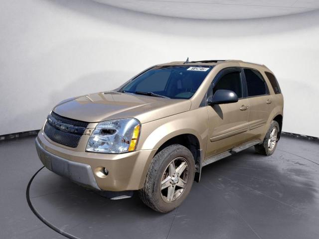 CHEVROLET EQUINOX LT 2005 with VIN 2CNDL73F056041238 - Photo from auction