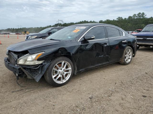NISSAN MAXIMA S 2011 with VIN 1N4AA5AP7BC842805 - Photo from auction